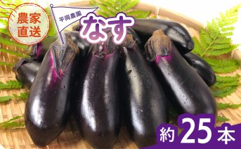 なす 約25本 茄子 ナス 産地直送 天敵栽培 【2025年7月以降順次発送】