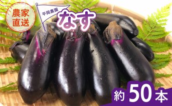 なす 約50本 茄子 ナス 産地直送 天敵栽培 【2025年7月以降順次発送】