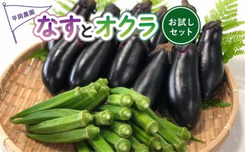 夏野菜 詰め合わせ お試し セット なす おくら 野菜 茄子 ナス オクラ 産地直送 天敵栽培 【2025年7月以降順次発送】