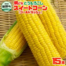 【四国一小さなまちのとうもろこし】★2025年6月上旬頃より発送開始予定★ とうもろこし スイートコーン ゴールドラッシュ 15本 数量限定 朝どれ 新鮮 甘い 野菜 産地直送 冷蔵 配送