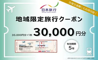 北海道礼文町　日本旅行　地域限定旅行クーポン30,000円分 チケット 