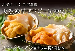 礼文島産　凍結島アワビSサイズ3個 旬凍うに食べ比べセット 魚貝類 瞬間冷凍 旬の味 獲れたての味 磯の香り キタムラサキウニ バフンウニ 贈り物 