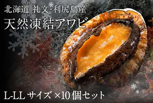 礼文島産　凍結島アワビ　Lサイズ 10個 魚貝類 魚介類 鮑利尻昆布 良質 瞬間冷凍 磯の香り コリコリ 獲れたて 甘い 贈り物 