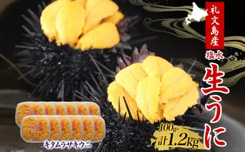北海道 礼文島産  塩水ウニ （ キタムラサキウニ ）100g×12  生うに うに 雲丹  魚貝類 1.2kg 