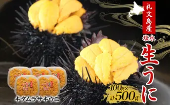 北海道 礼文島産  塩水ウニ （ キタムラサキウニ ）100g×5  生うに うに 雲丹  魚貝類 500g 