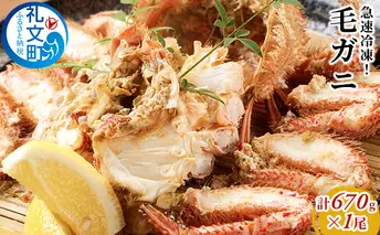 急速冷凍！毛ガニ約670g×1尾 毛カニ 蟹 冷凍毛ガニ カニ かに 