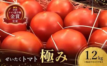 ぜいたくトマト 極み 1.2kg セット 詰め合わせ 第一回全国トマト選手権ミディアム部門金賞 高糖度トマト 甘い 高糖度 とまと 野菜 季節の野菜 旬の野菜 兵庫 兵庫県 稲美町
