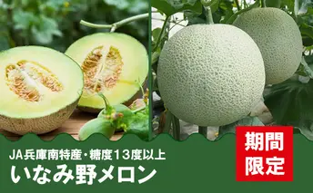 メロン ひょうご推奨ブランド いなみ野メロン 2玉 5Lサイズ フルーツ めろん 果物 フルーツ 果物類 