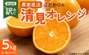 ZT6230n_【2026年先行予約】こだわりの 清見 オレンジ 【訳あり 家庭用】 5kg 藤秀園