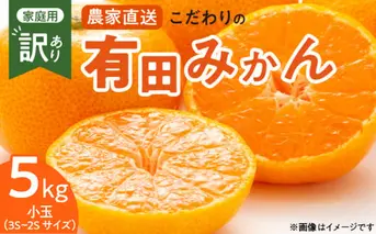 ZT6232n_こだわりの 有田みかん 小玉 5kg (2S～3Sサイズ)【訳あり 家庭用】