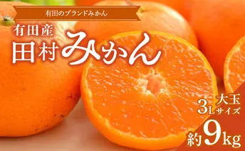 ZD7028_数量限定【ブランドみかん】田村みかん 大玉 約9kg (3Lサイズ)