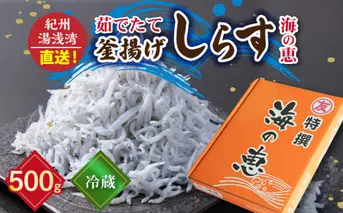 C6039n_【冷蔵】 茹でたて 釜揚げしらす 海の恵み 500g 紀州湯浅湾直送！【しらす干し ちりめんじゃこ シラス】