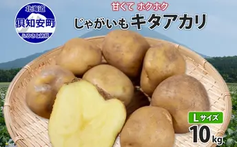 北海道産 じゃがいも キタアカリ Lサイズ 10kg 馬鈴薯 きたあかり 北あかり 黄金男爵 クリじゃがいも ジャガイモ ポテト 芋 いも 旬 イモ 野菜 農作物 産地直送 産直 常温 北海道 お取り寄せ 送料無料 倶知安町
