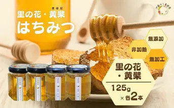 国産 純粋 はちみつ 里の花 125g 黄檗 125g (各2本)／ 蜂蜜 ハチミツ 非加熱 無添加 無加工 百花蜜 単花蜜 キハダ お取り寄せ 伊藤ゆう養蜂園 奈良県 宇陀市 ふるさと納税