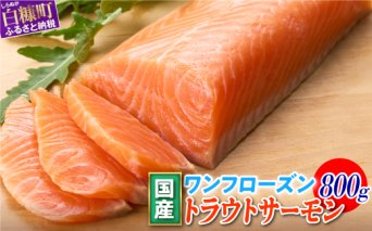 国産ワンフローズントラウトサーモン【800g】_T011-1232