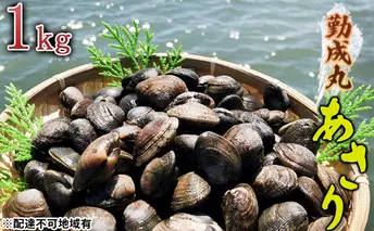 【2026年1月より順次出荷予定勤成丸のあさり 1.0kg 魚貝類 海の幸 酒蒸し アサリご飯 パスタ 料理 食材 みそ汁の具 冷蔵便 食べ物 食品 
