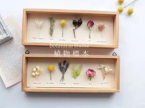 植物標本 ボタニカルフレーム フローリスト お任せ♪ ／ HANARA ナチュラル 自然 花 ギフト 母の日 女性 奈良県 宇陀市 誕生日 お祝い 敬老の日 感謝 結婚祝い 還暦 プロポーズ お供え 花ケース入り ふるさと納税 誕生日 お祝い 敬老の日 感謝 結婚祝い 還暦 プロポーズ お供え 花ケース入り 誕生日 お祝い 敬老の日 感謝 結婚祝い 還暦 プロポーズ お供え 花ケース入り 誕生日 お祝い 敬老の日 感謝 結婚祝い 還暦 プロポーズ お供え 花ケース入り