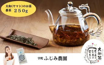 大和(ヤマト)のお茶 番茶 250g