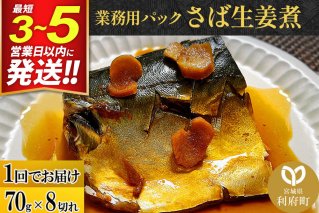 さば生姜煮 業務用パック 70g×8切れ 最短3〜5営業日以内発送 冷凍 惣菜 おかず つまみ レンチン 湯煎 簡単 煮物 煮付 煮魚 [煮魚 さば しょうが煮 生姜煮 さばしょうが 冷凍 惣菜 おかず つまみ レンチン 湯煎 簡単 煮物 煮付]|10097