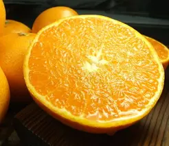 V7411_せとか 秀品 約2.8kg 和歌山県有田産 春みかん 春柑橘 (果実サイズおまかせ)/紀伊国屋文左衛門本舗