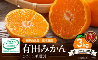 ZE6413n_11_【2025年11月発送】和歌山県産 有田みかん 3kg (2S～Lサイズ混合)【まごころ手選別】