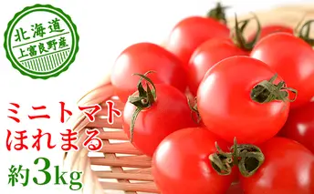 もぎたてミニトマト【ほれまる】3kg≪北海道上富良野産≫ 野菜 鮮やかな 赤色 果肉 酸味 甘み バランス 食べやすい 日持ち 冷蔵庫 保存 1週間 