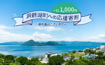 洞爺湖町 寄附のみの応援受付 1,000円コース（返礼品なし 寄附のみ 1000円） 支援 自治体支援 お礼の品なし 北海道 洞爺湖町の発展 ふるさと応援 ふるさと支援 