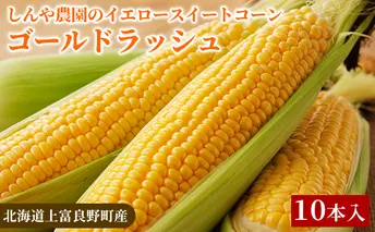 【北海道上富良野町産】しんや農園のイエロースイートコーン「ゴールドラッシュ」10本 野菜 北海道産 とうもろこし 甘みが強い 食べ応え 新鮮 国産 