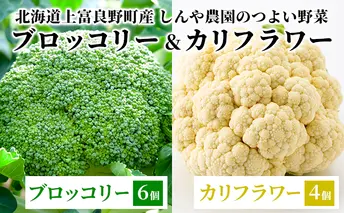 【北海道上富良野町産】しんや農園のつよい野菜「ブロッコリー6個&カリフラワー4個」 北海道産 北海道の野菜 国産野菜 栄養素 ビタミンC 新鮮 食材 食べ物 鮮度保持袋入り