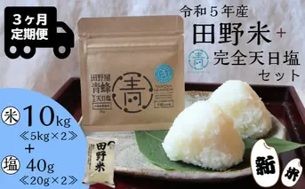 ≪先行受付中：定期便3ヵ月（1月～3月）≫  ★ 令和5年産 新米 ★【四国一小さなまち】 田野米 10kg ＋ 田野屋青蜂 完全天日塩 40g ～ 精米 ・ 白米 ～ 