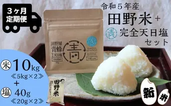 ≪先行受付中：定期便3ヵ月（12月～2月）≫  ★ 令和5年産 新米 ★【四国一小さなまち】 田野米 10kg ＋ 田野屋青蜂 完全天日塩 40g ～ 精米 ・ 白米 ～ 