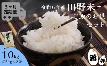 ≪先行受付中：定期便3ヵ月（10月～12月）≫  ★ 令和5年産 新米 ★【四国一小さなまち】 田野米 10kg ＋ ご飯のお供 ～ 精米 ・ 白米 ～ 