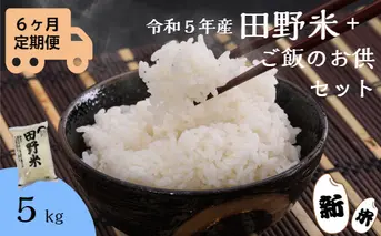 ≪先行受付中：定期便6ヵ月（10月～3月）≫  ★ 令和5年産 新米 ★【四国一小さなまち】 田野米 5kg ＋ ご飯のお供 ～ 精米 ・ 白米 ～ 