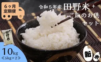 ≪先行受付中：定期便6ヵ月（10月～3月）≫  ★ 令和5年産 新米 ★【四国一小さなまち】 田野米 10kg （5kg×2袋）＋ ご飯のお供 ～ 精米 ・ 白米 ～ 