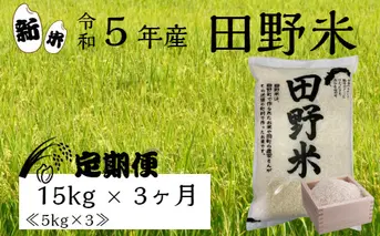 ≪先行受付中：定期便3ヵ月（10月～12月）≫  ★ 令和5年産 新米 ★【四国一小さなまち】 田野米 15kg （5kg×3袋）× 3回 ～ 精米 ・ 白米 ～ 
