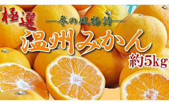 みかん 香川 極撰 温州みかん 約 5kg フルーツ 果物 柑橘 柑橘類 デザート おやつ 旬 産地直送 冬の味覚 旬の果物 旬のフルーツ お取り寄せ 取り寄せ 送料無料 温州ミカン ミカン 蜜柑