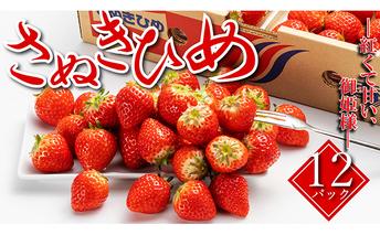 いちご 先行予約 秀品 さぬきひめ 12パック 丸亀の紅い宝石 フルーツ 果物 デザート 旬 産地直送 旬の果物 旬のフルーツ お取り寄せ 取り寄せ 冷蔵 冷蔵配送 2026 先行 予約 2026年 1月中旬以降発送開始