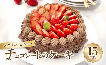 エクラン・ビジュー「チョコレートのケーキ」 お菓子 タルト 宝石箱 フルーツ 新鮮 美味しい カスタードクリーム 手作業 安心 しっとり 