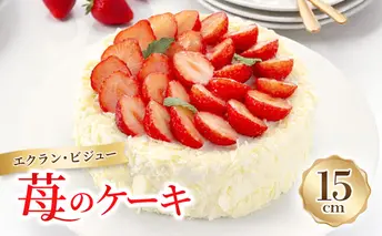 エクラン・ビジュー「苺のケーキ」 お菓子 タルト 宝石箱 フルーツ 新鮮 美味しい カスタードクリーム 手作業 安心 しっとり 