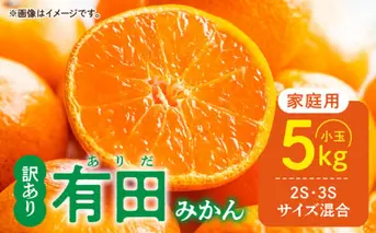 DZ6205_【2026年先行予約】家庭用 有田みかん 和歌山 小玉(2S,3Sサイズ混合) 約5kg