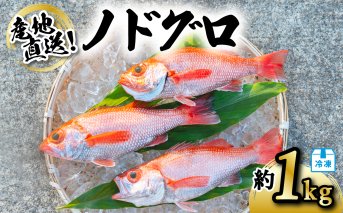 ノドグロ 約1kg 産地直送 冷凍 下処理済 アカムツ のどぐろ 高級魚 水揚げ時重量約1kg 下処理後約800g
