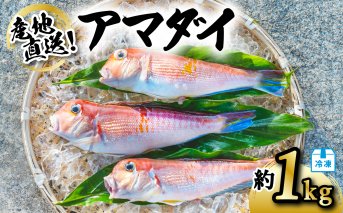 アマダイ 約1kg 冷凍 下処理済み 松笠揚げ 甘鯛 あまだい 水揚げ時重量約1kg 下処理後約900g エラ内臓除去 うろこ付き