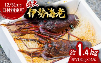 伊勢海老 特大 約1.4kg 約700g×2尾 伊勢えび 伊勢エビ いせえび イセエビ 海老 えび エビ 海鮮 海産物 海の幸 おせち 高級 国産 海鮮 ギフト 【配送日指定】