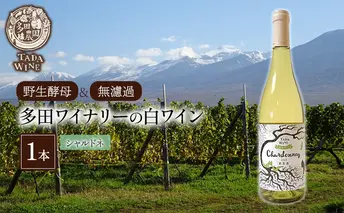 【野生酵母＆無濾過】多田ワイナリーの白ワイン 《シャルドネ》1本 お酒 アルコール ミネラル感 ミディアムボディー 爽や 厚み 晩酌 家飲み 宅飲み 