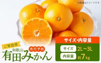AT6315_ご家庭用　有田みかん 約7kg (2L、3Lサイズ)【湯浅町】