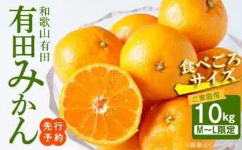 AT6310_ご家庭用　有田みかん 約10kg (M、Lサイズ)【湯浅町】