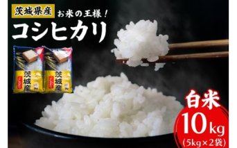 【令和7年産】お米の王様！茨城県産 コシヒカリ 白米 10kg (5kg×2袋)｜おこめ 精米 こしひかり 直送 稲敷 茨城 [1893]