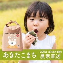 新米【令和7年産】 無洗米 あきたこまち 20kg (5kg×4) 稲敷市産 農家直送｜米 こめ コメ ごはん ご飯 [1630]