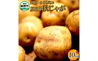 【四国一小さなまちのじゃがいも】★令和５年１２月中旬発送開始★ 大野台地で採れた『 令和５年産 秋じゃが 』 １０ｋｇ　～ 訳あり ～