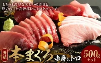 AZ6019_本マグロ （養殖） 赤身 ＆ トロ セット 500g
